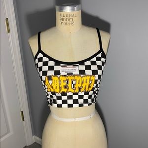 Adelphi University Checkered Crop Top